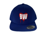 Being Weird Snapback - Blue