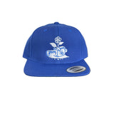 Visionary Roots Snapback - Blue