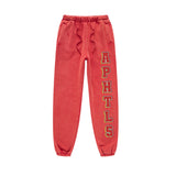 Ride That Plane Sweatpants